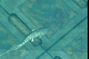 Fisherman's Bait: A Bass Challenge 12