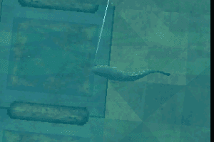 Fisherman's Bait: A Bass Challenge 13