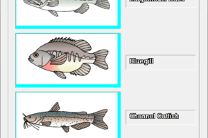 Fisherman's Delight 32 5