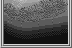 Fishing Freaks: BassRise for WonderSwan 11