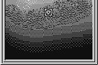 Fishing Freaks: BassRise for WonderSwan 12