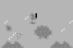 Fishing Freaks: BassRise for WonderSwan 14