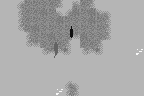 Fishing Freaks: BassRise for WonderSwan 15