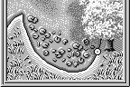 Fishing Freaks: BassRise for WonderSwan 17