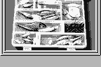 Fishing Freaks: BassRise for WonderSwan 4