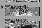 Fishing Freaks: BassRise for WonderSwan 5