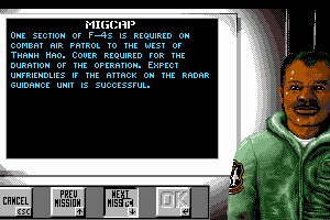 Flight of The Intruder abandonware