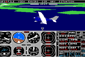 Flight Simulator II 9