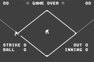 Flyball 0