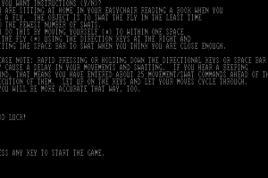 Flyswat 1