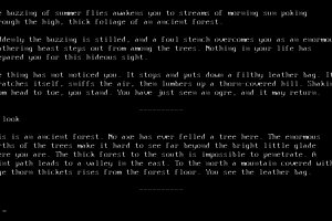 Forbidden Castle 3