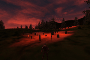 Forbidden Forest 17