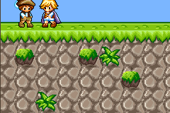 Forgotten Warrior 3