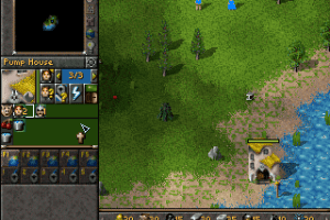 Foundation: Gold 10
