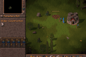 Foundation: Gold 7