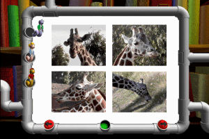 Four Footed Friends 12