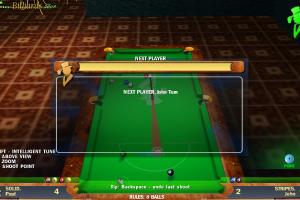 Free Billiards 2008 3