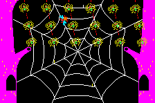 Frog & Spiders 4