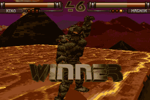FX Fighter 13