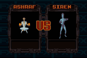 FX Fighter 3