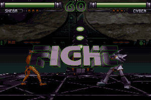 FX Fighter 4