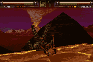 FX Fighter 6