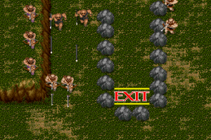 Gain Ground 7