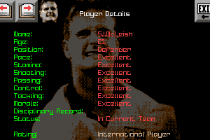 Gazza II 10