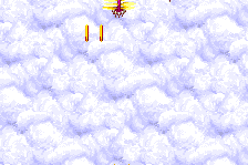 Gemini Wing 1