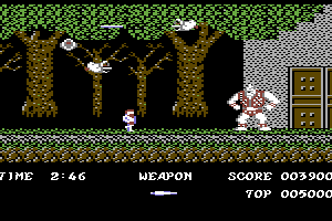 Ghosts 'n Goblins 4