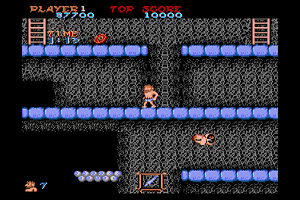 Ghosts 'n Goblins 11