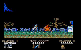 Ghosts 'n Goblins abandonware