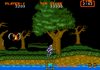 Ghouls 'N Ghosts abandonware