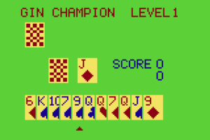 Gin Champion 2