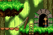 Gnomes Gone Wild abandonware