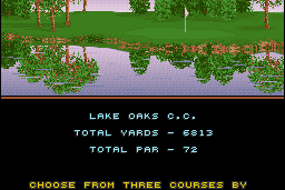 Golden Par Golf 4
