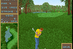 Golden Par Golf abandonware