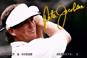 Golden Tee 3D Golf 1