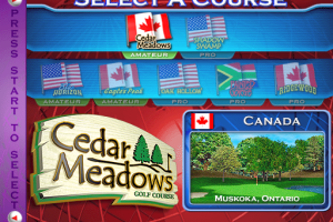 Golden Tee Fore! 2005 3