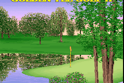 Golden Tee Golf II 0