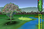 Golf Pro Contest 9