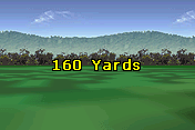Golf Pro Contest 10