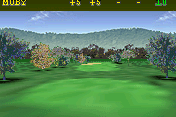 Golf Pro Contest 13