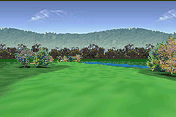 Golf Pro Contest 2