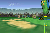 Golf Pro Contest abandonware