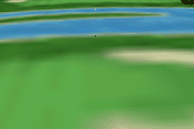 Golf Pro Contest 2 5