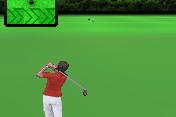 Golf Pro Contest 2 6