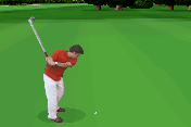 Golf Pro Contest 2 5
