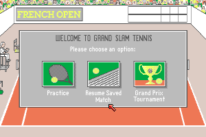 Grand Slam: World Class Tennis 2