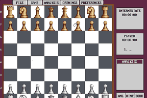 Grandmaster Chess 1